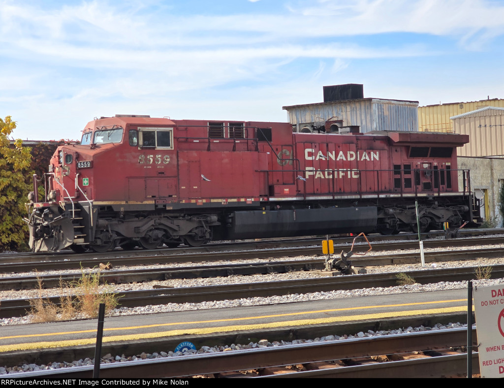 CP 8559